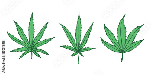 Set of hand drawn cannabis leaf Medicine marijuana Hemp leaves clipart in doodle style Single element for print, web, design, decor
