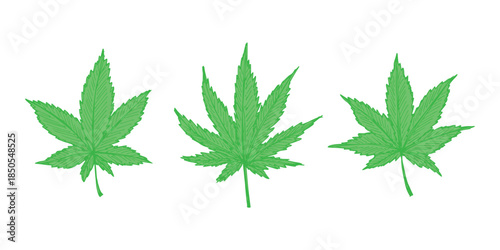 Set of hand drawn cannabis leaf Medicine marijuana Hemp leaves clipart in doodle style Single element for print, web, design, decor