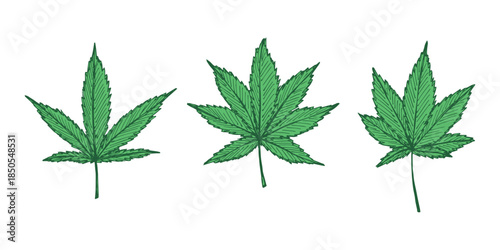 Set of hand drawn cannabis leaf Medicine marijuana Hemp leaves clipart in doodle style Single element for print, web, design, decor
