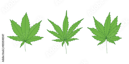 Set of hand drawn cannabis leaf Medicine marijuana Hemp leaves clipart in doodle style Single element for print, web, design, decor