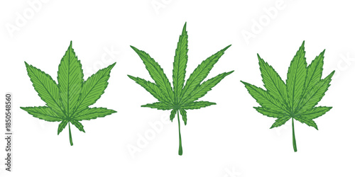 Set of hand drawn cannabis leaf Medicine marijuana Hemp leaves clipart in doodle style Single element for print, web, design, decor