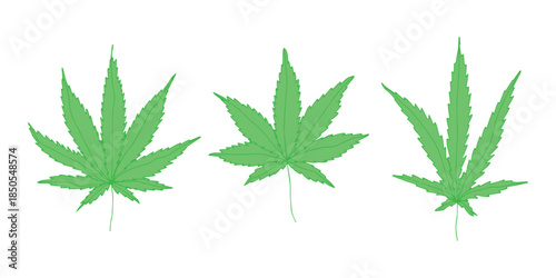 Set of hand drawn cannabis leaf Medicine marijuana Hemp leaves clipart in doodle style Single element for print, web, design, decor