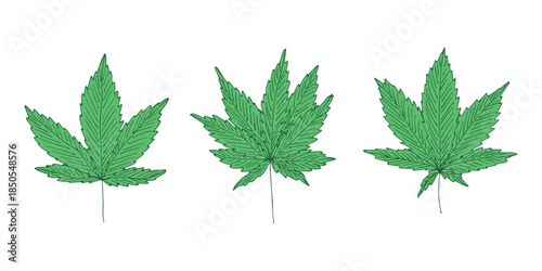 Set of hand drawn cannabis leaf Medicine marijuana Hemp leaves clipart in doodle style Single element for print, web, design, decor