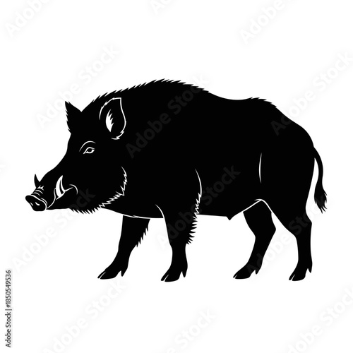 Silhouette of a wild boar with prominent tusks and bristly fur.