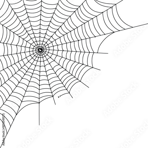 A detailed corner spiderweb with a small spider at its center