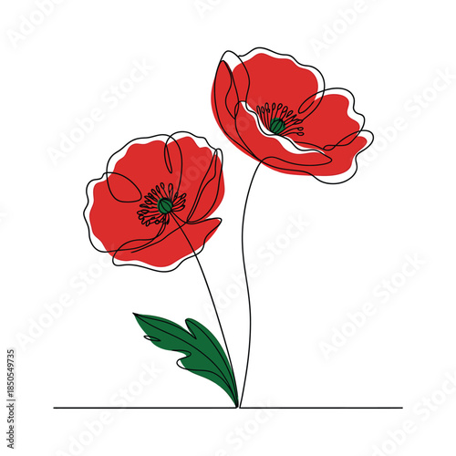 Minimalist line art illustration of two vibrant red poppy flowers blooming