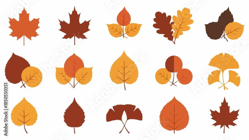 Collection of Autumn Leaves in Various Shapes and Colors.