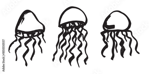 Set of hand drawn jellyfish doodle Sea animal illustration Cute marine underwater creature Medusa sketch clipart Single element for web, design, decor, children's print