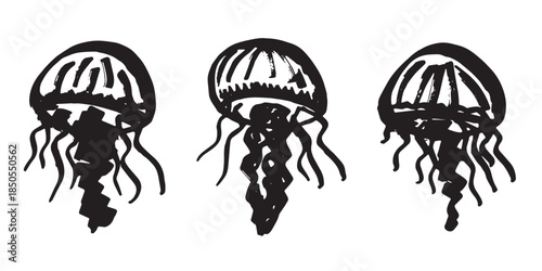 Set of hand drawn jellyfish doodle Sea animal illustration Cute marine underwater creature Medusa sketch clipart Single element for web, design, decor, children's print