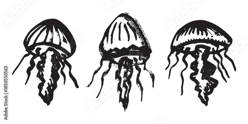 Set of hand drawn jellyfish doodle Sea animal illustration Cute marine underwater creature Medusa sketch clipart Single element for web, design, decor, children's print