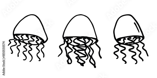 Set of hand drawn jellyfish doodle Sea animal illustration Cute marine underwater creature Medusa sketch clipart Single element for web, design, decor, children's print