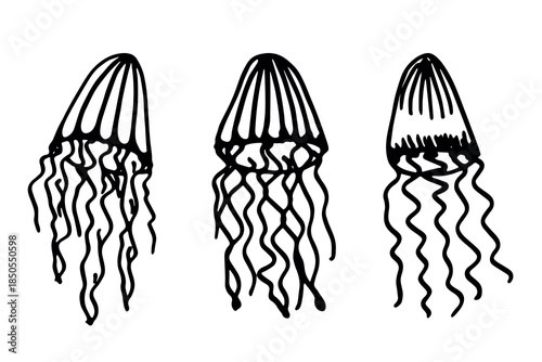 Set of hand drawn jellyfish doodle Sea animal illustration Cute marine underwater creature Medusa sketch clipart Single element for web, design, decor, children's print