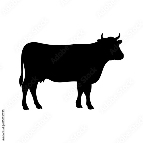 Silhouette of a standing cow on white background, farm animal illustration