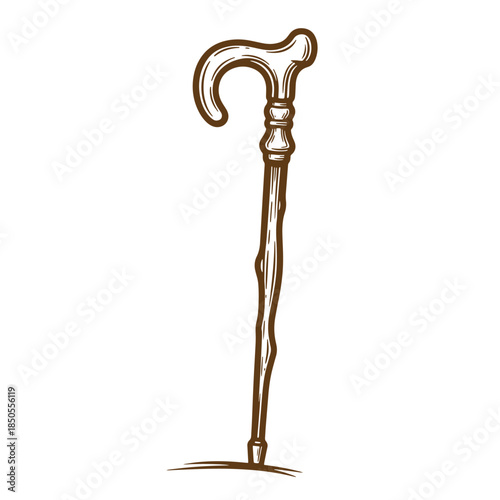 Elegant hand drawn vintage sketch illustration of a classic walking cane on a white backdrop