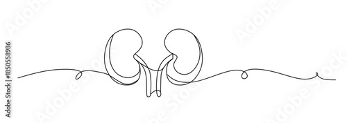 Continuous lines of human internal organs such as heart, spleen, lungs, stomach, brain, intestines, kidneys and liver in line style.