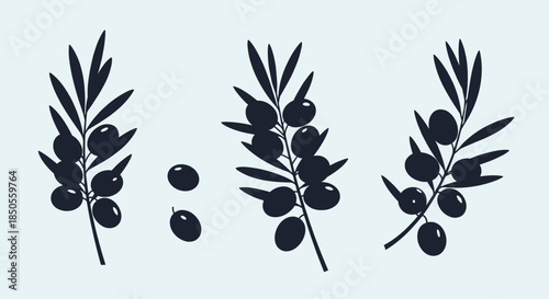 Black silhouettes of olive tree branches with leaves and fruits alongside individual olives for Mediterranean or culinary design projects.