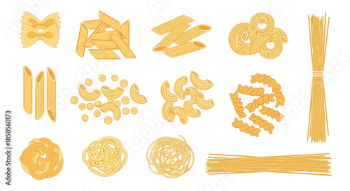 Diverse assortment of dried pasta varieties including penne, fusilli, macaroni, farfalle, and spaghetti bundles.