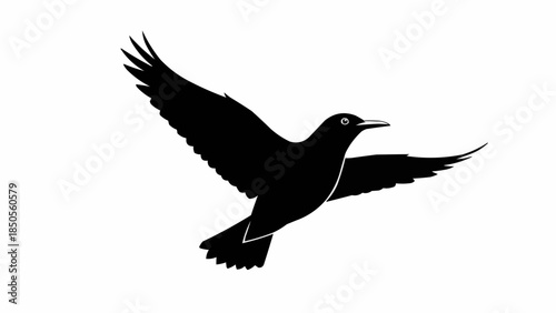Silhouette of a black bird in flight with wings spread wide.