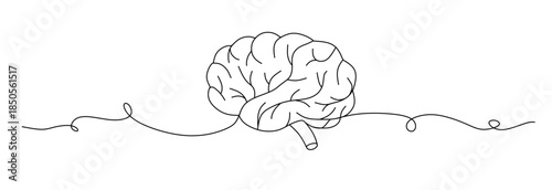 Continuous lines of human internal organs such as heart, spleen, lungs, stomach, brain, intestines, kidneys and liver in line style.