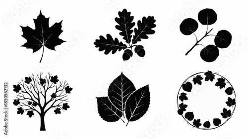Collection of Black and White Autumn Leaf Silhouettes and Tree Illustrations.