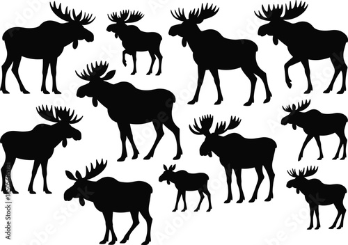 Moose silhouettes, wildlife vector icons, black shapes, antler variations, animal theme, forest creatures, nature design, graphic illustration, moose collection, diverse poses, body 