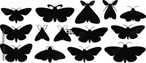 Moth silhouettes, insect icons, entomology design, wing patterns, biodiversity clipart, nature illustration, vector insects, artistic moth shapes