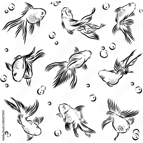 Element or pattern of goldfish for decoration and textile isolated on transparent background