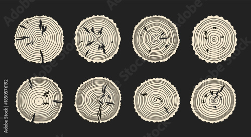 Abstract set of tree trunk cross-sections showcasing annual rings, natural wood textures, cracks, and knots on a dark background.