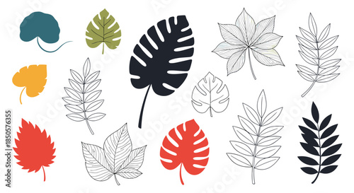 An assortment of vibrant and outlined leaf illustrations showcasing different botanical forms and artistic styles.