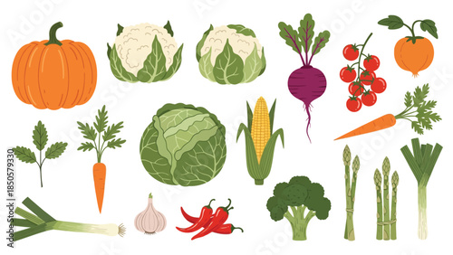 Colorful flat design vector illustration set of fresh market vegetables
