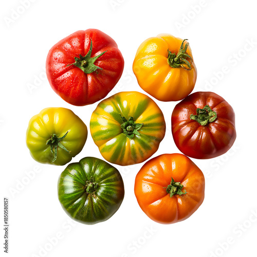 Colorful heirloom tomatoes a vibrant mix of red yellow green png