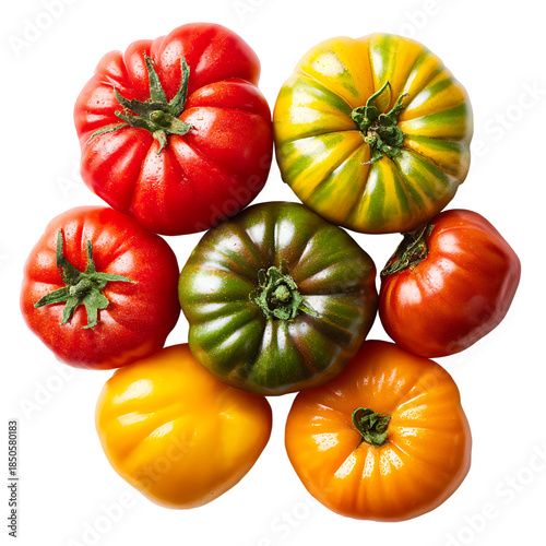 Colorful heirloom tomatoes a vibrant mix of red yellow green png