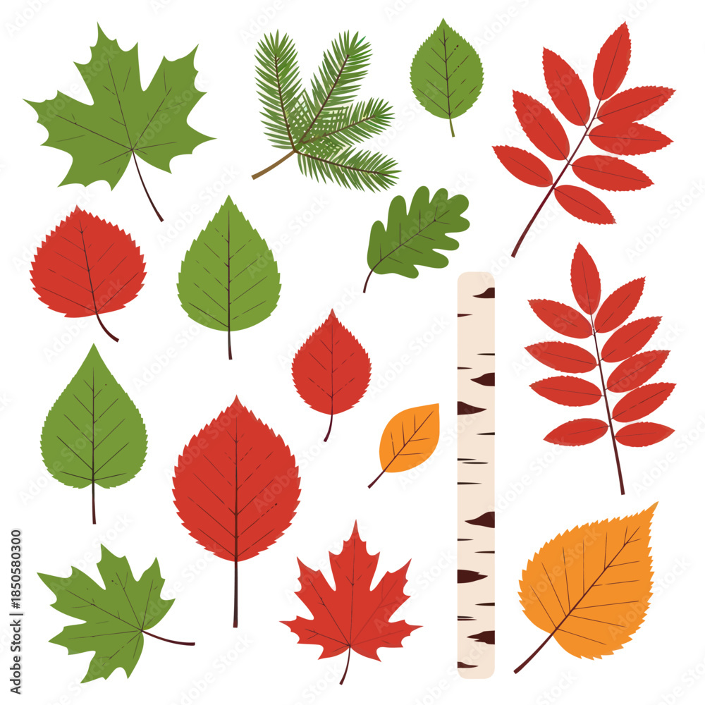 Obraz premium Assorted Autumn Leaves and Birch Bark Illustration for Seasonal Designs.