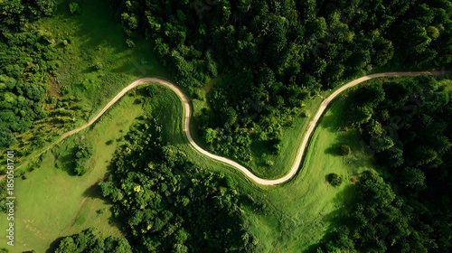 Winding road through lush forest