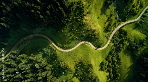Winding road through lush forest