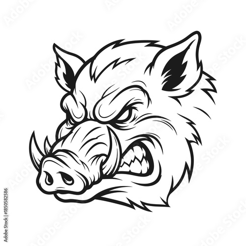Aggressive Boar Head Vector Illustration with Sharp Tusks.