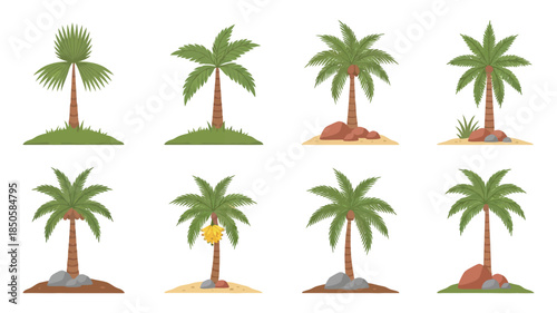 Collection of various cartoon palm trees in flat design style on white background
