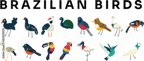 Cute colorful cartoon illustration set of Brazilian tropical birds, exotic rainforest wildlife collection for kids designs, posters, prints and educational projects.