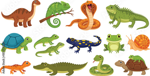 Cartoon reptile and amphibian vector collection featuring cute snake turtle frog crocodile lizard dinosaur and chameleon characters for educational nature children design.