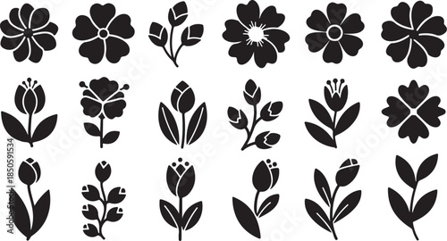 Collection of elegant black flower silhouettes on white