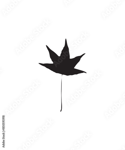 Star-shaped deeply lobed single leaf silhouette with long stem vector on isolated white background.