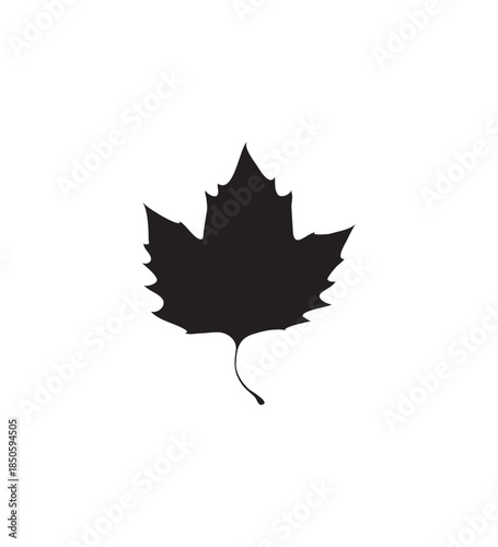 Black Sycamore Leaf Silhouette, Nature Graphic Element, Isolated White Background