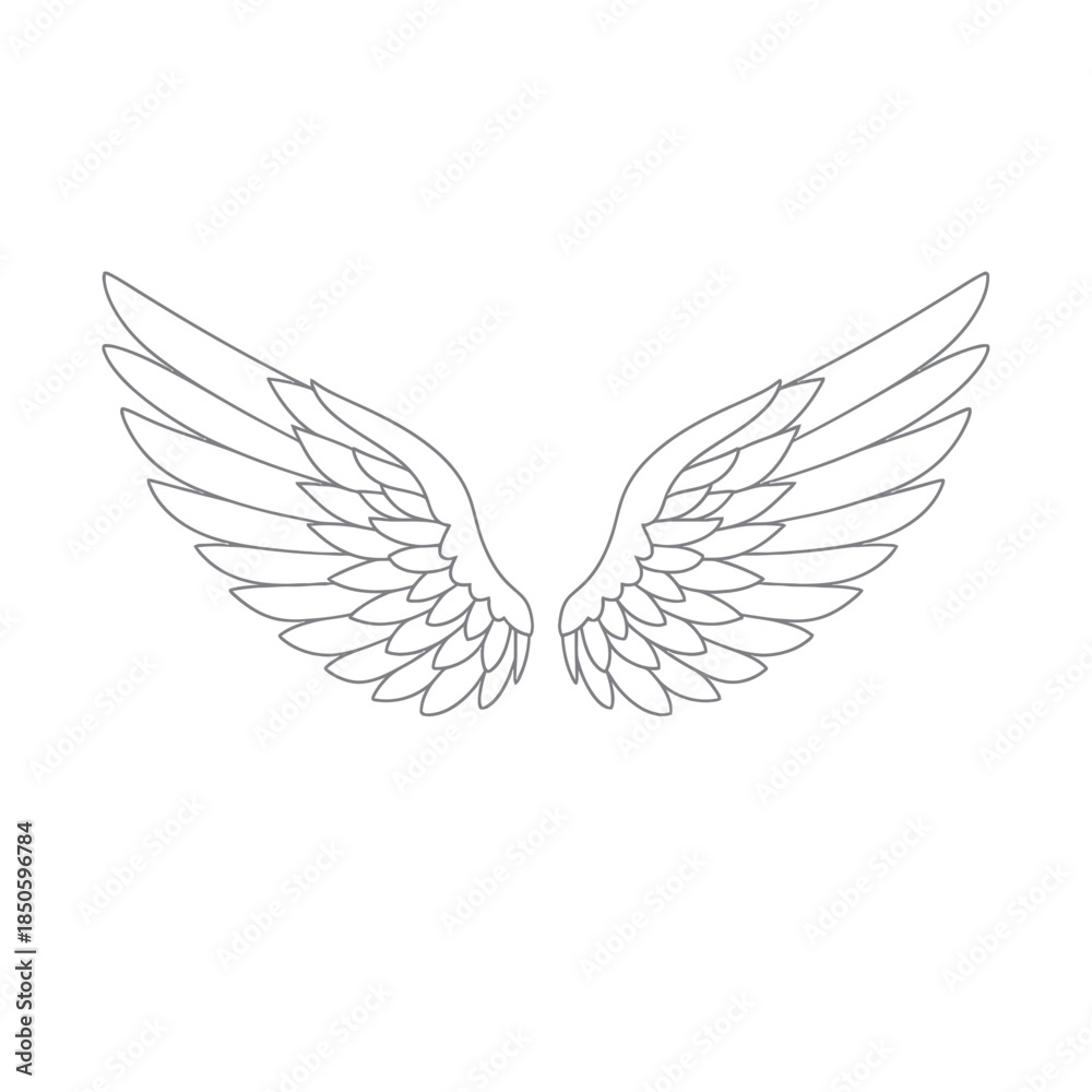 Fototapeta premium Detailed Line Art Depiction of Symmetrical Angel Wings.