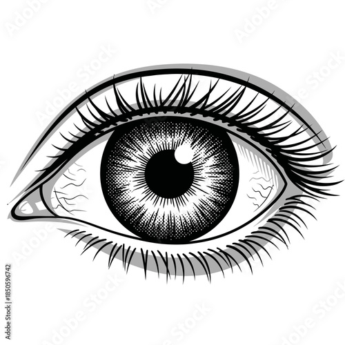 Detailed Eye Illustration with Intricate Iris and Eyelash Details.