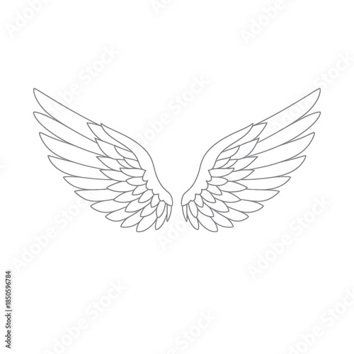 Detailed Line Art Depiction of Symmetrical Angel Wings.