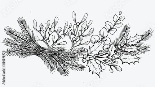 Christmas botanical arrangement with holly leaves berries and mistletoe sketch