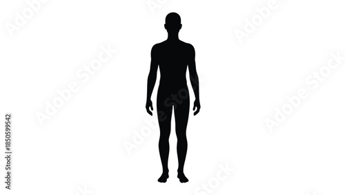 Full body male silhouette for anatomical or design reference