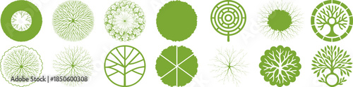  “Top View Tree Icons Vector Set — Circular Green Canopy, Roots, and Botanical Symbols”