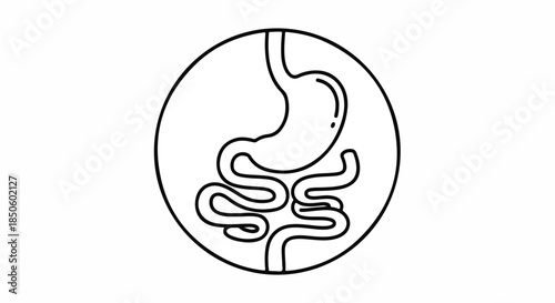 Line drawing of the human digestive system inside a circle on a white background.