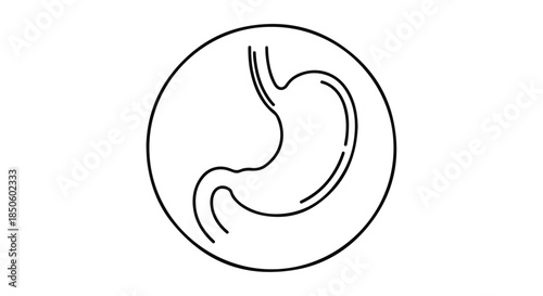 Simple line drawing of a human stomach within a circle on a white background.